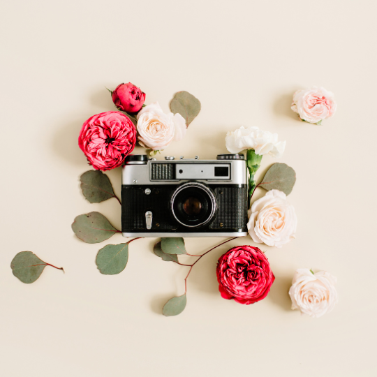 PHOTOGRAPHY SESSION- PET PORTRAIT