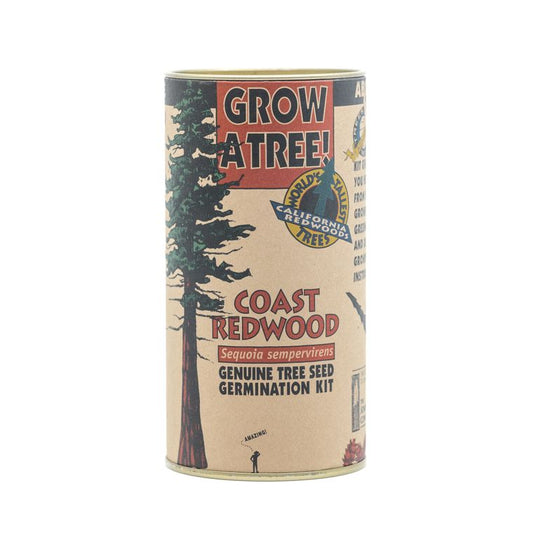 Coast Redwood | Seed Grow Kit