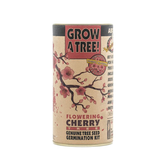 Flowering Cherry Blossom | Seed Grow Kit