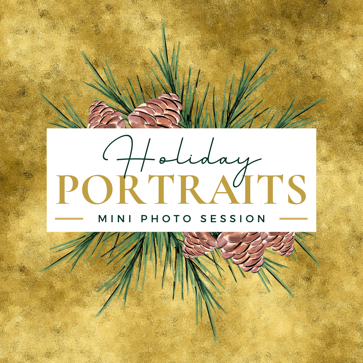 PHOTOGRAPHY SESSION- Holiday Portraits
